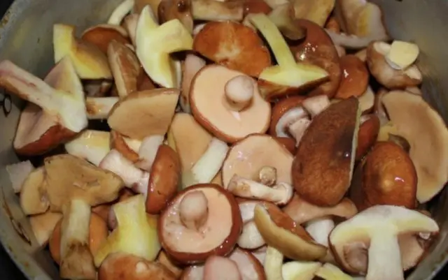 How to cook boletus before frying: is it necessary to boil, how to boil properly