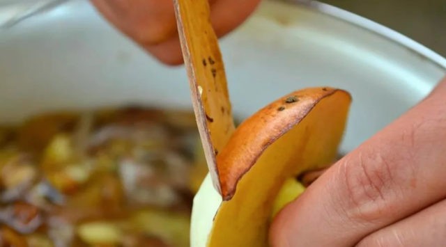 How to cook boletus before frying: is it necessary to boil, how to boil properly