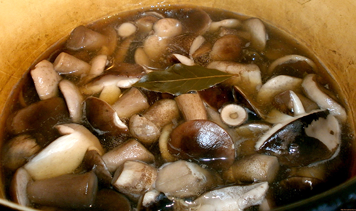 How to cook boletus: recipes for blanks for the winter