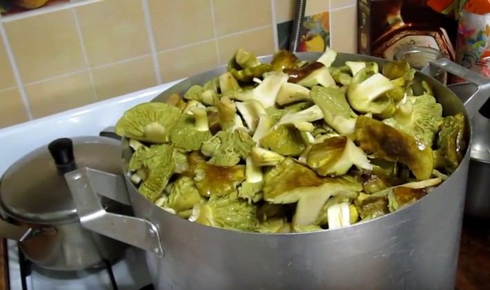 How to cook boletus: recipes for blanks for the winter