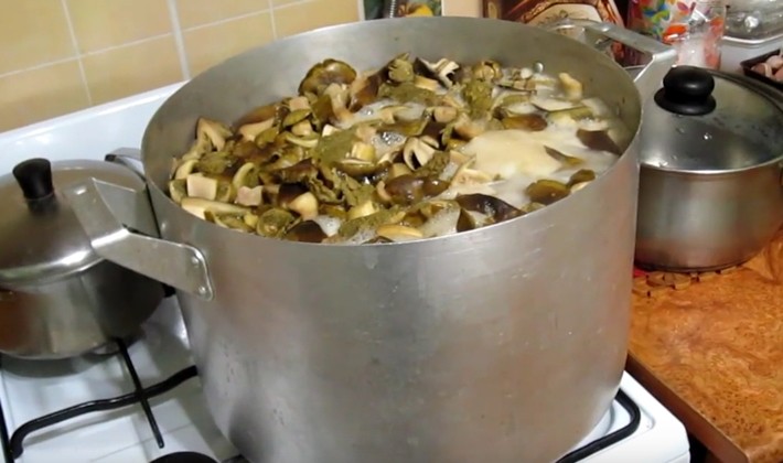 How to cook boletus: recipes for blanks for the winter