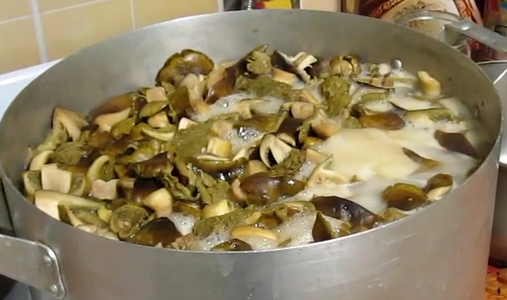 How to cook boletus: recipes for blanks for the winter