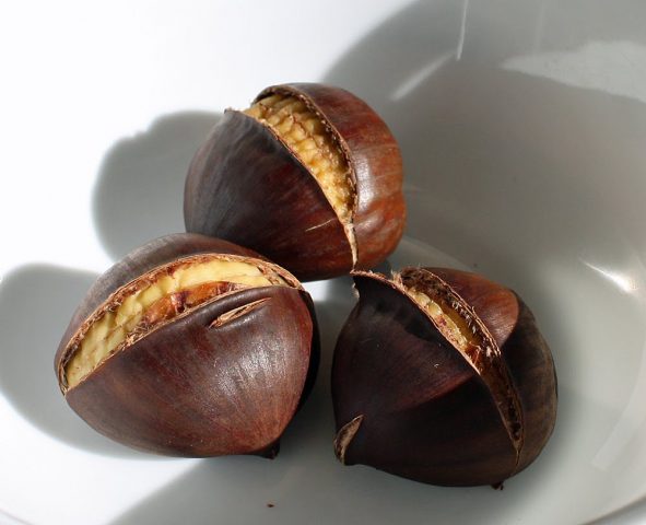 How to cook chestnuts, what are useful