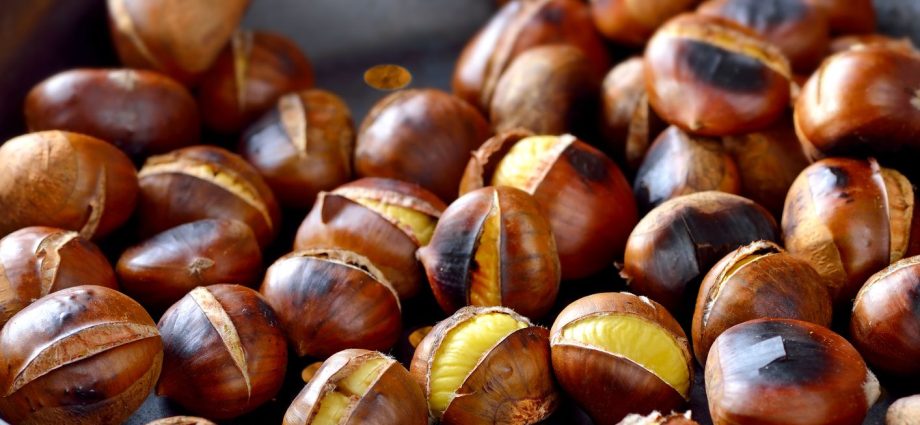 How to cook chestnuts, what are useful