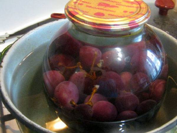 How to cook compote from Isabella grapes