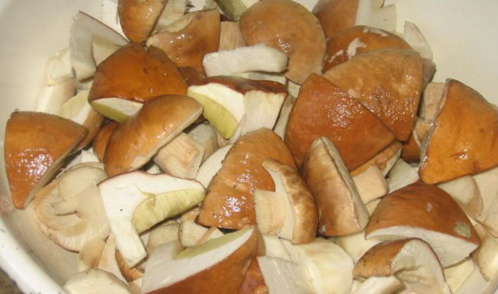 How to cook delicious porcini pickled mushrooms for the winter