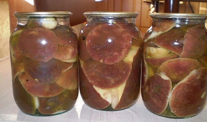 How to cook delicious porcini pickled mushrooms for the winter