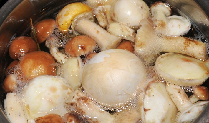 How to cook delicious porcini pickled mushrooms for the winter