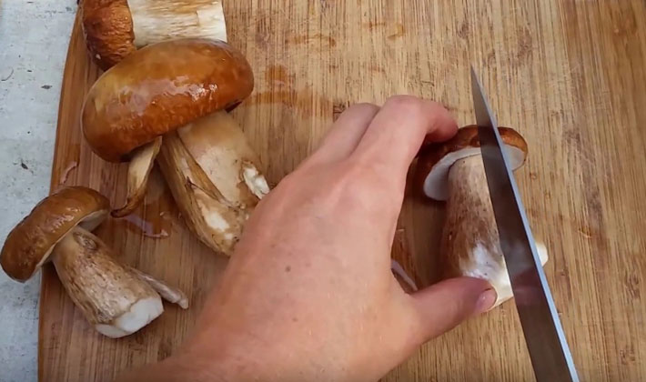 How to cook delicious porcini pickled mushrooms for the winter