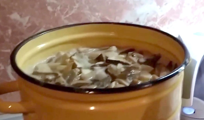 How to cook delicious porcini pickled mushrooms for the winter