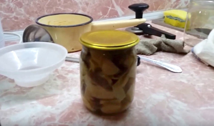 How to cook delicious porcini pickled mushrooms for the winter