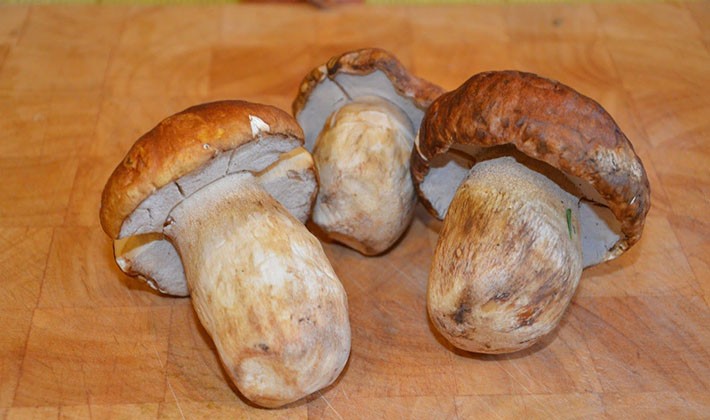 How to cook delicious porcini pickled mushrooms for the winter