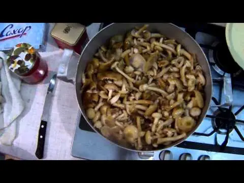 How to cook fresh mushrooms: rules for processing mushrooms