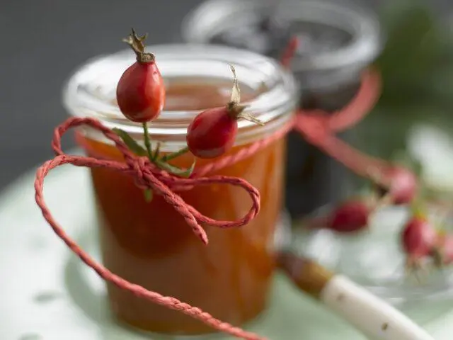 How to cook jam from leaves, rose hips