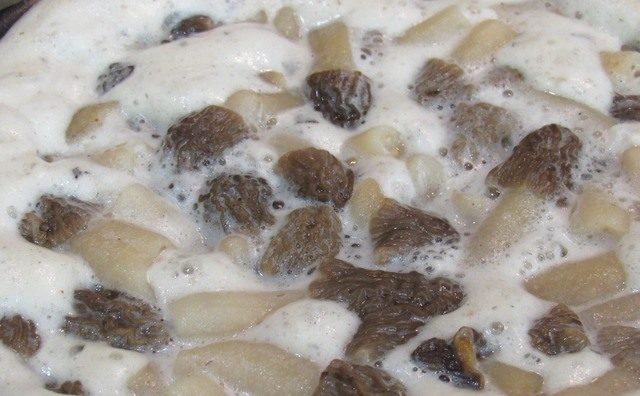 How to cook morels: delicious recipes with photos