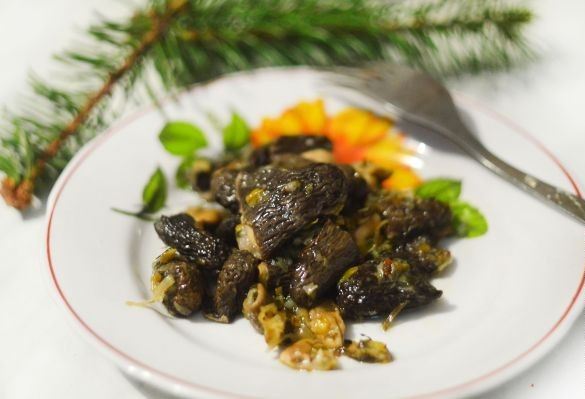 How to cook morels: delicious recipes with photos