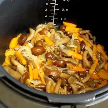 How to cook mushrooms in a slow cooker: recipes with photos