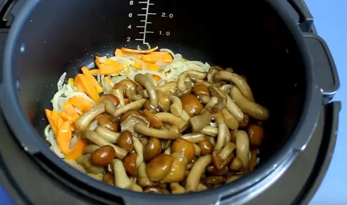 How to cook mushrooms in a slow cooker: recipes with photos