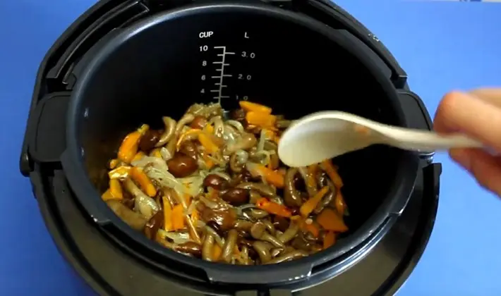 How to cook mushrooms in a slow cooker: recipes with photos