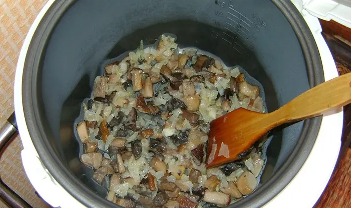 How to cook mushrooms in a slow cooker: recipes with photos