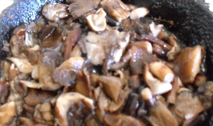 How to cook mushrooms in a slow cooker: recipes with photos