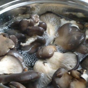 How to cook oyster mushrooms and what to cook from them