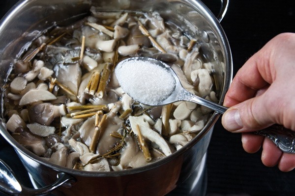 How to cook oyster mushrooms and what to cook from them