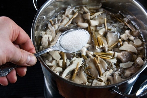 How to cook oyster mushrooms: recipes with photos