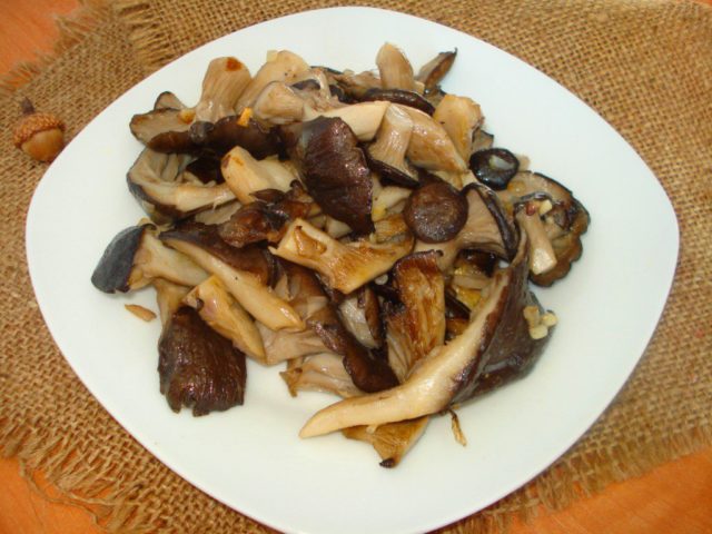 How to cook oyster mushrooms: recipes with photos