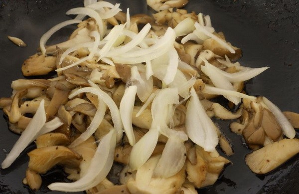 How to cook oyster mushrooms with sour cream: step by step recipes