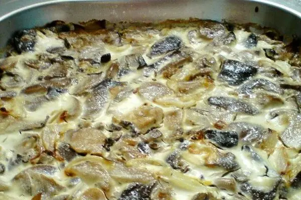 How to cook oyster mushrooms with sour cream: step by step recipes