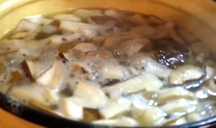 How to cook pickled porcini mushrooms