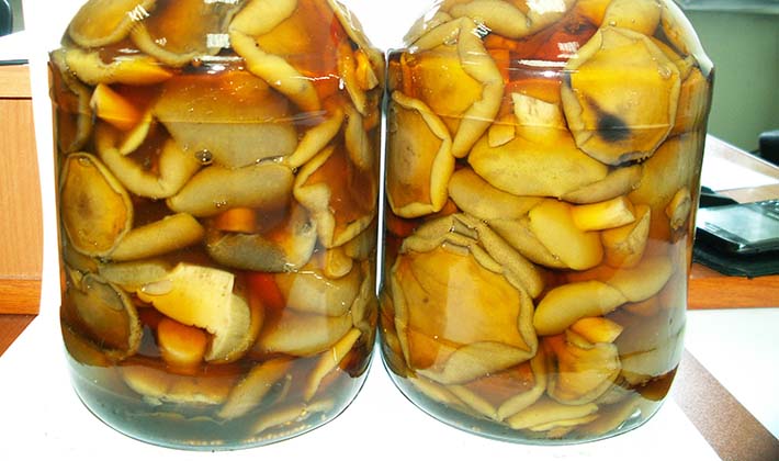 How to cook pickled porcini mushrooms