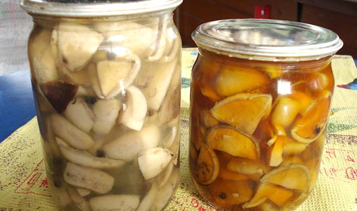 How to cook pickled porcini mushrooms