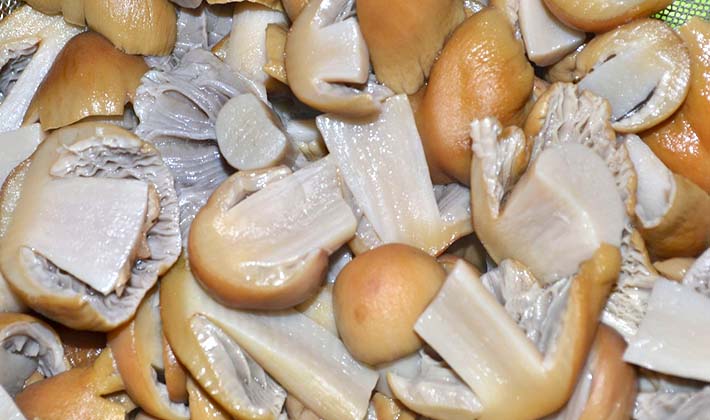 How to cook pickled porcini mushrooms