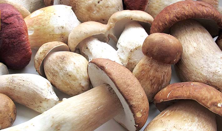 How to cook pickled porcini mushrooms