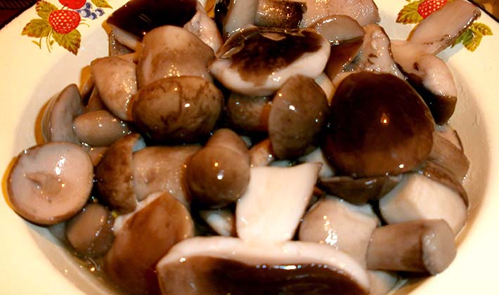 How to cook pickled porcini mushrooms