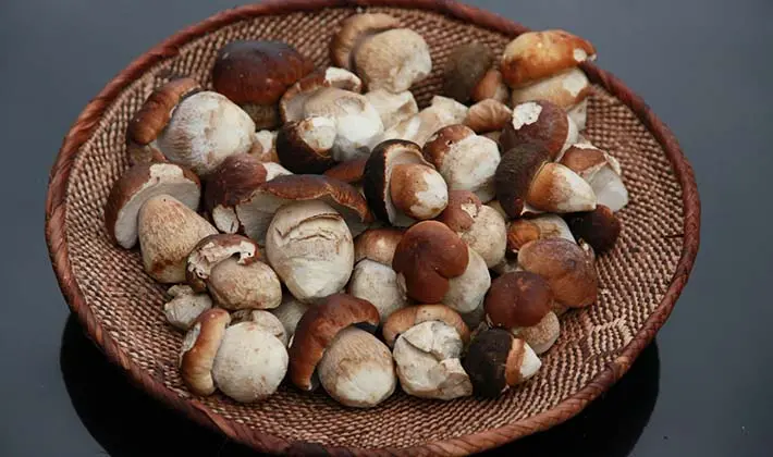 How to cook pickled porcini mushrooms