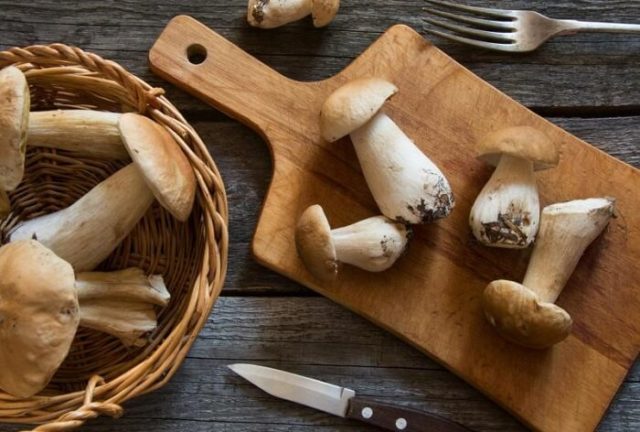 How to cook porcini mushrooms: before frying, freezing and until cooked