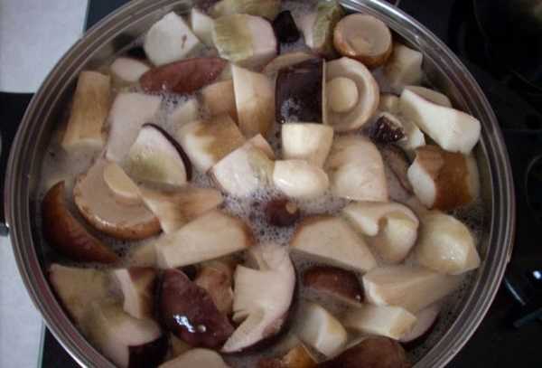 How to cook porcini mushrooms: before frying, freezing and until cooked