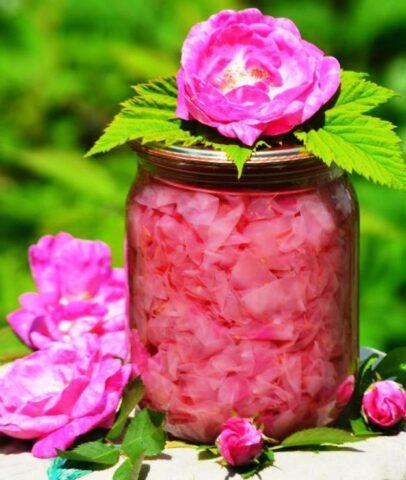 How to cook rose petal jam: useful properties, how to make