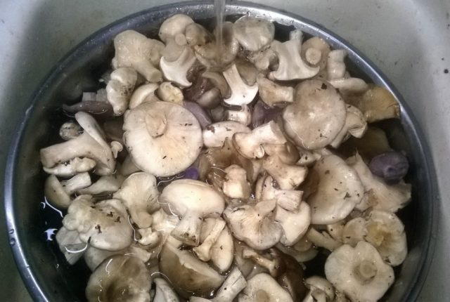 How to cook row mushrooms and how much to soak