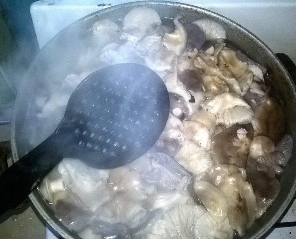 How to cook row mushrooms and how much to soak