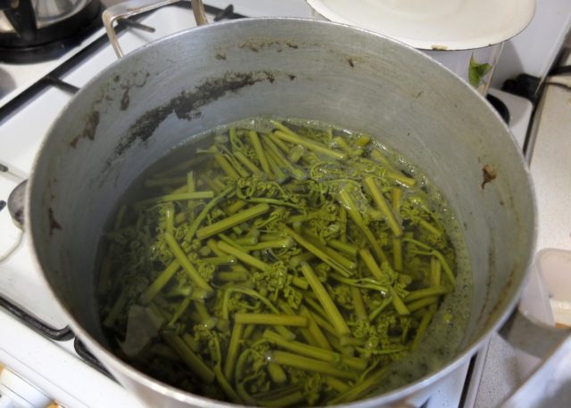 How to cook salted bracken fern at home