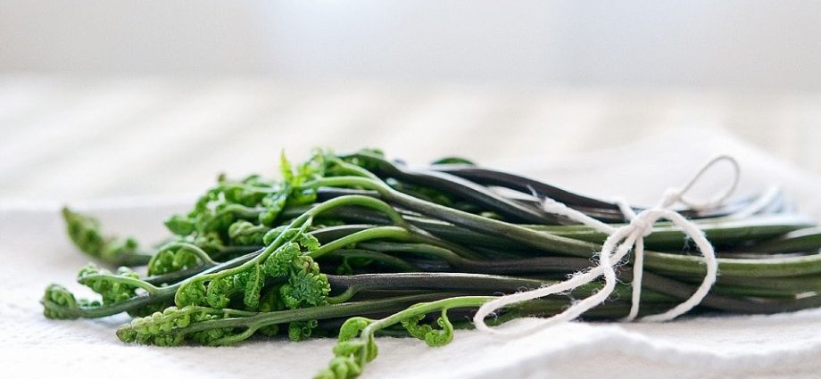 How to cook salted bracken fern at home