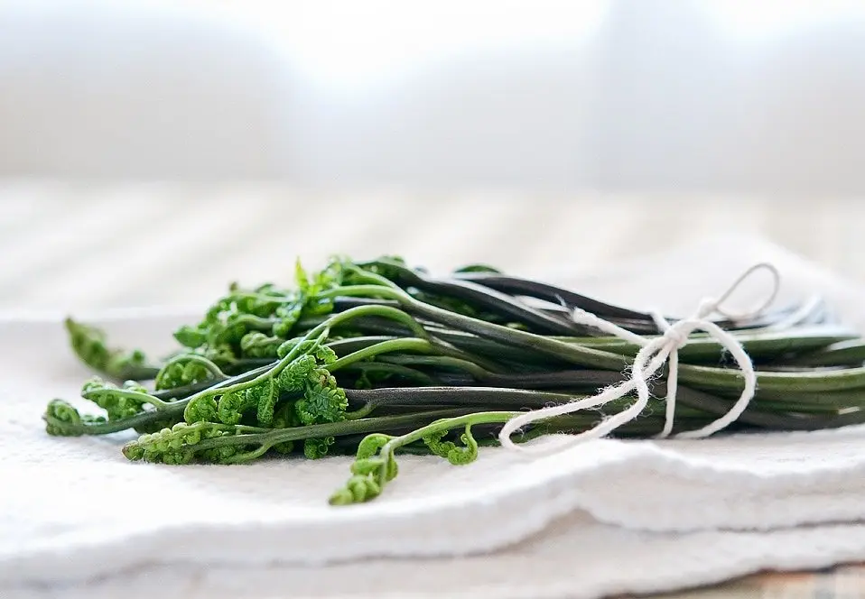 How to cook salted bracken fern at home