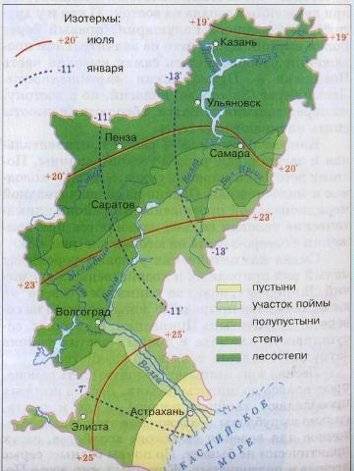 How to cover grapes for the winter in the Volga region