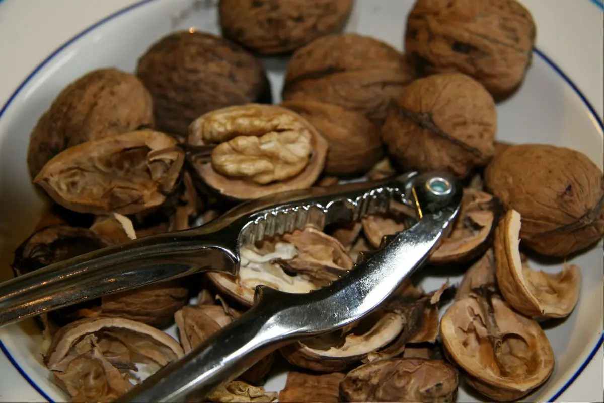 How to crack a walnut at home without damaging the kernel