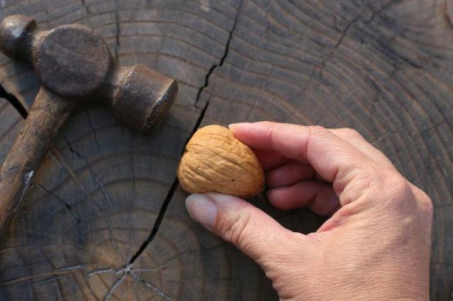 How to crack walnuts at home