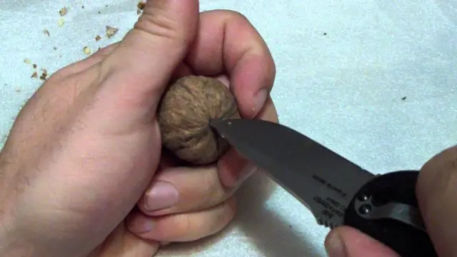 How to crack walnuts at home